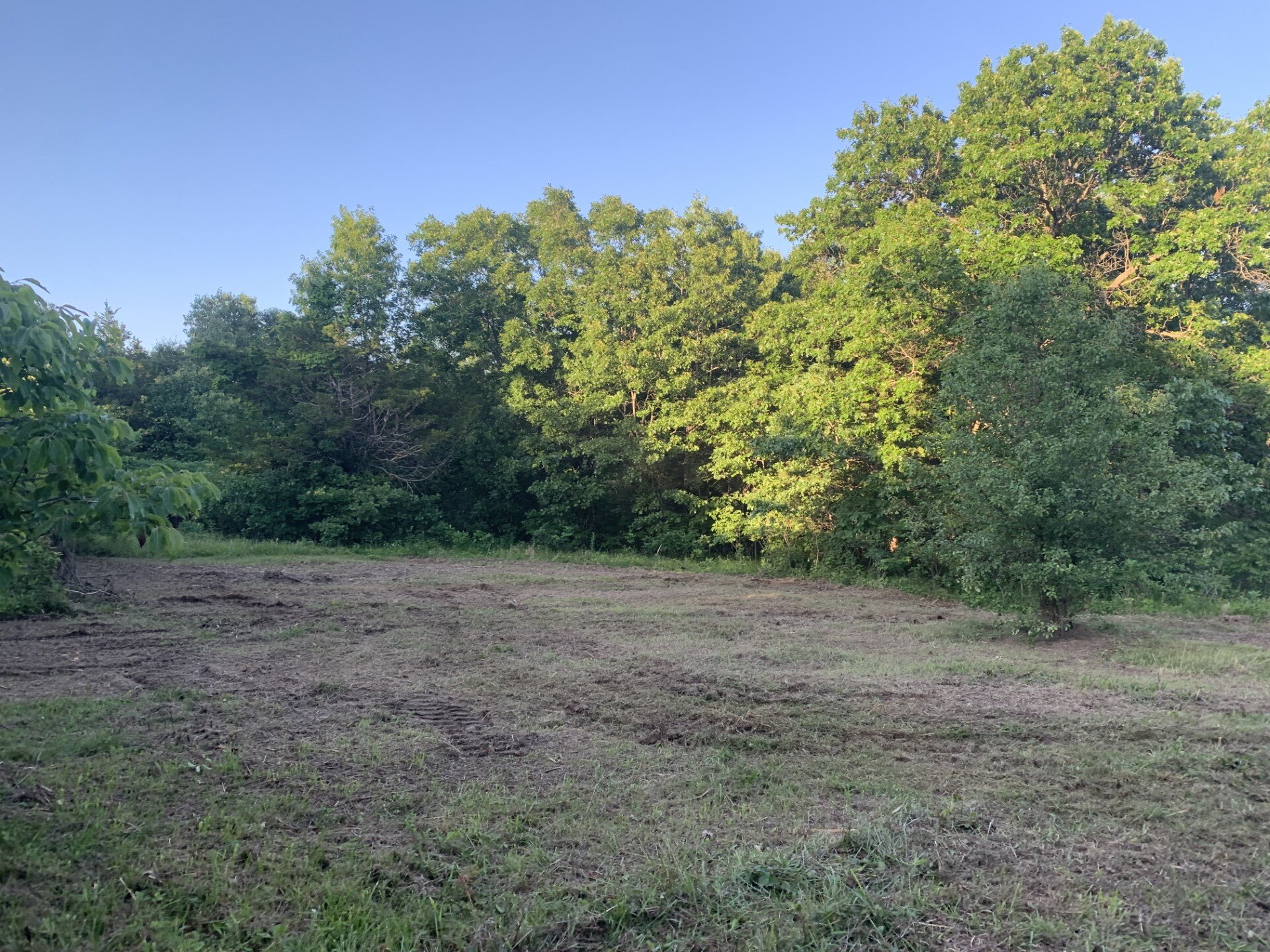 Ozark Brush Land Clearing | Forestry Mulching in Missouri