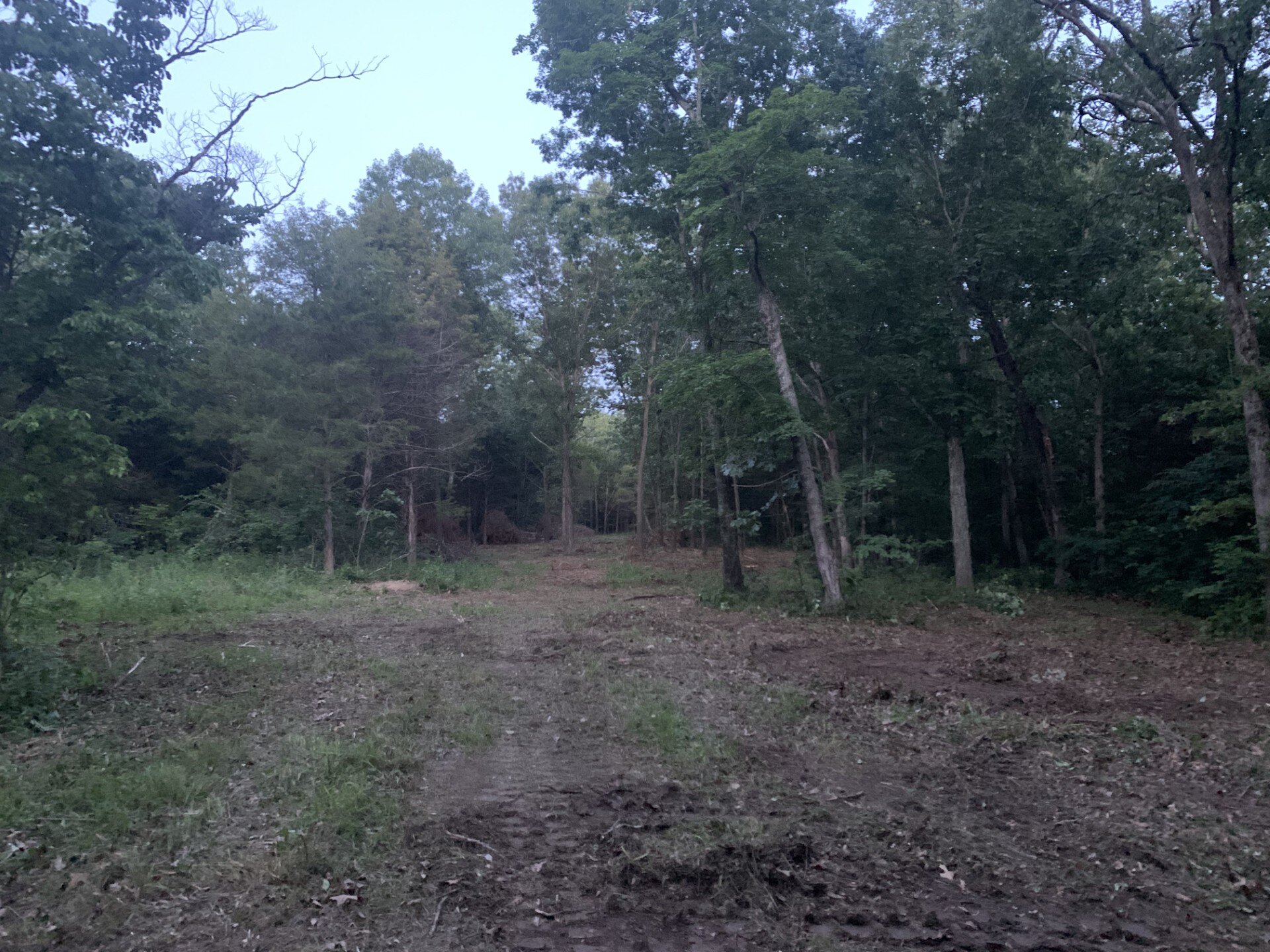 Ozark Brush Land Clearing | Forestry Mulching in Missouri