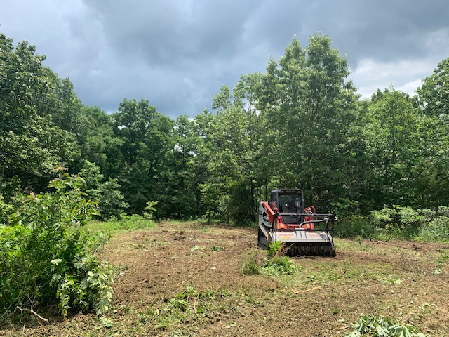 Ozark Brush Land Clearing | Forestry Mulching in Missouri